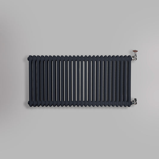 Grzejnik Dekoracyjny Żeberkowy - 2 Kolumnowy Antracytowy - 576x1190mm, gładkie tło firmy Empire
