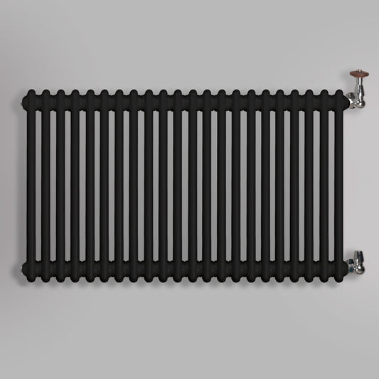 Grzejnik Dekoracyjny Żeberkowy - 2 Kolumnowy Czarny - 576x1010mm, gładkie tło firmy Empire