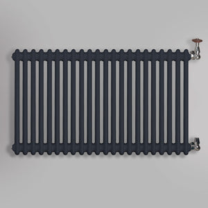 Grzejnik Dekoracyjny Żeberkowy - 2 Kolumnowy Antracytowy - 576x1010mm, gładkie tło firmy Empire