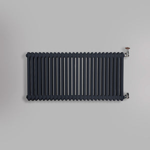 Grzejnik Dekoracyjny Żeberkowy - 2 Kolumnowy Antracytowy - 576x1190mm, gładkie tło firmy Empire