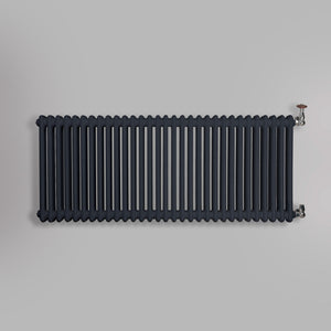 Grzejnik Dekoracyjny Żeberkowy - 2 Kolumnowy Antracytowy - 576x1415mm, gładkie tło firmy Empire