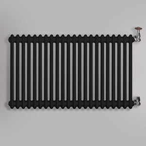Grzejnik Dekoracyjny Żeberkowy - 2 Kolumnowy Czarny - 576x1010mm, gładkie tło firmy Empire
