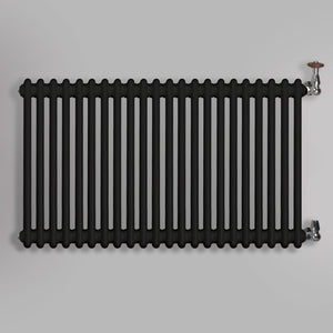 Grzejnik Dekoracyjny Żeberkowy - 2 Kolumnowy Czarny - 576x1010mm, gładkie tło firmy Empire